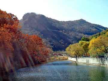 注册公司流程和费用