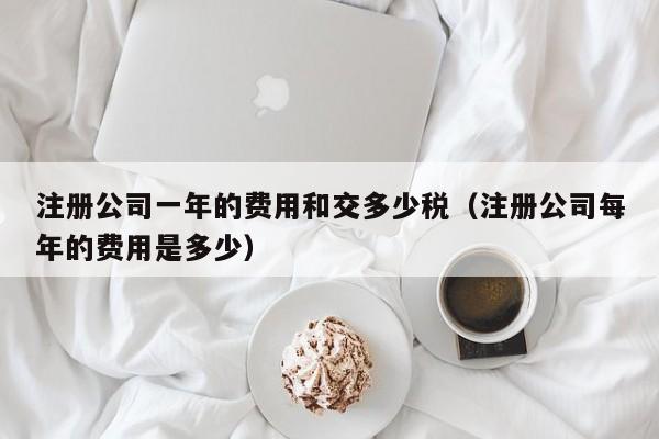 注册公司一年的费用和交多少税（注册公司每年的费用是多少）