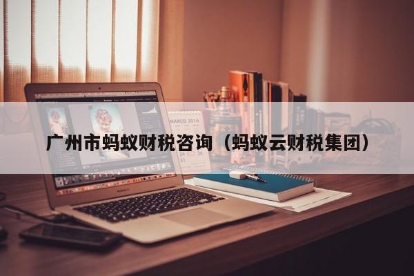 广州市蚂蚁财税咨询（蚂蚁云财税集团）