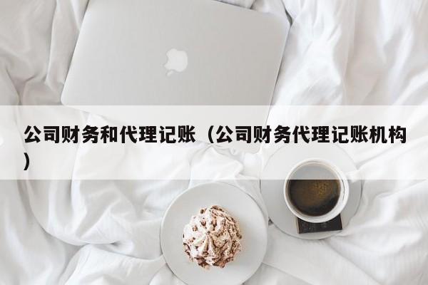 公司财务和代理记账（公司财务代理记账机构）