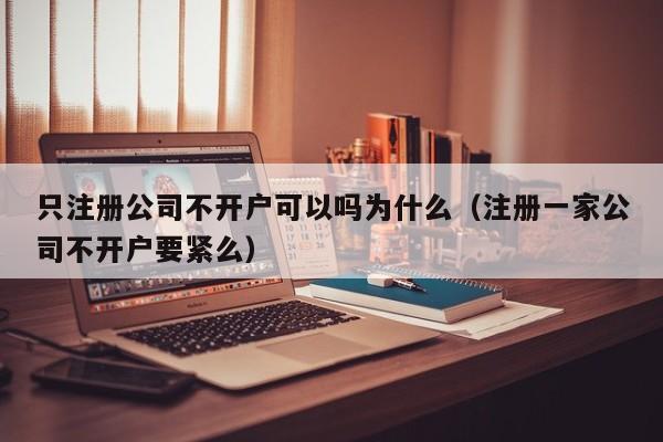 只注册公司不开户可以吗为什么（注册一家公司不开户要紧么）