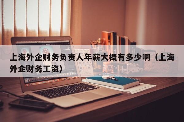 上海外企财务负责人年薪大概有多少啊（上海外企财务工资）