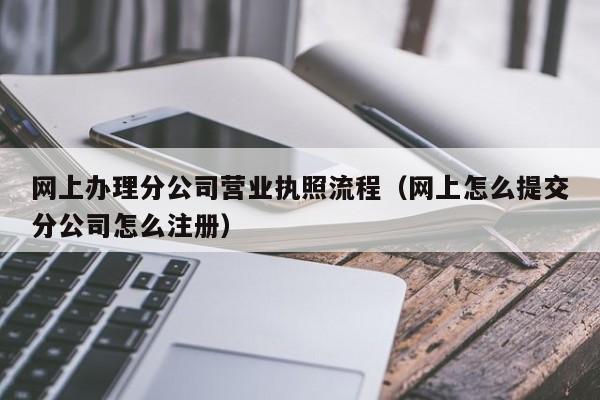 网上办理分公司营业执照流程（网上怎么提交分公司怎么注册）