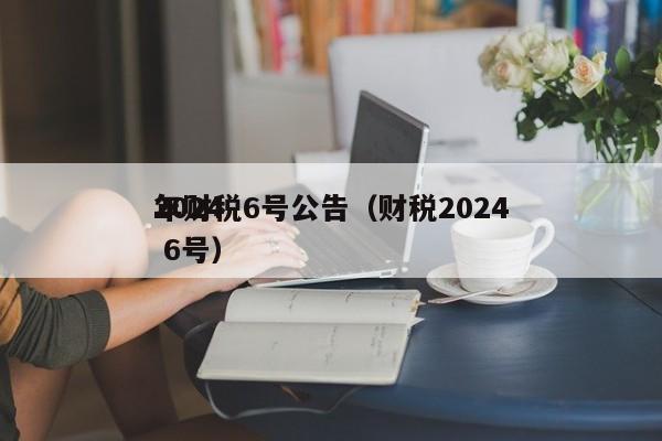 2024年财税6号公告（财税2024 6号）