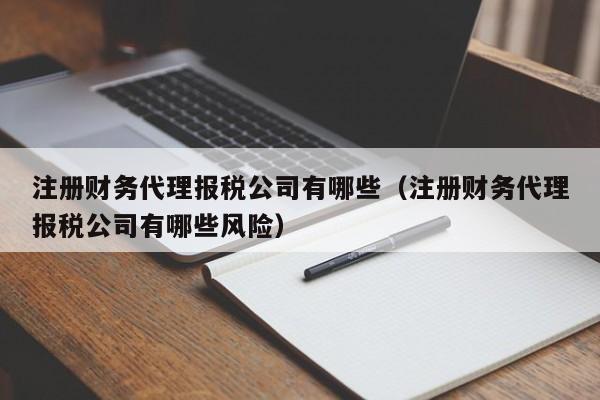 注册财务代理报税公司有哪些（注册财务代理报税公司有哪些风险）
