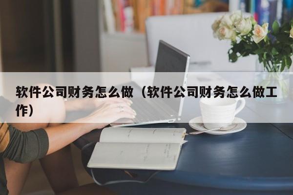 软件公司财务怎么做(软件公司财务怎么做工作)