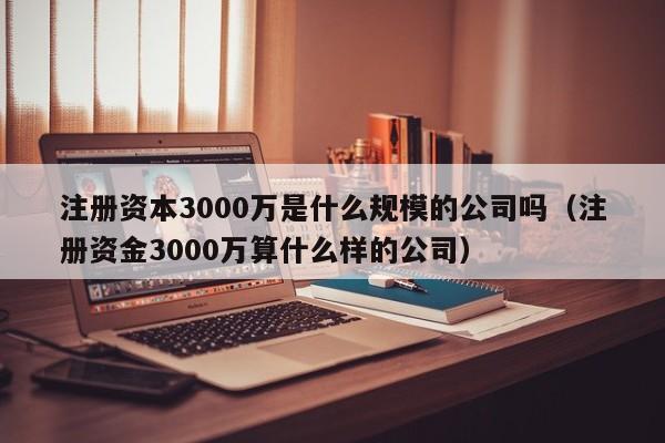 注册资本3000万是什么规模的公司吗（注册资金3000万算什么样的公司）