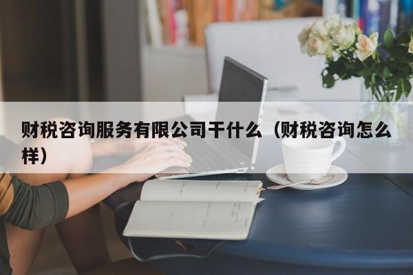 财税咨询服务有限公司干什么(财税咨询怎么样)