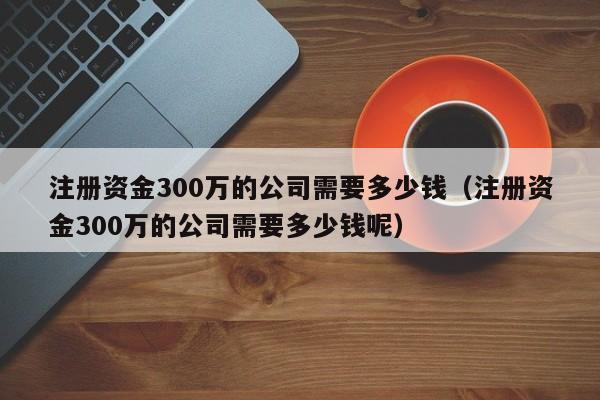 注册资金300万的公司需要多少钱（注册资金300万的公司需要多少钱呢）