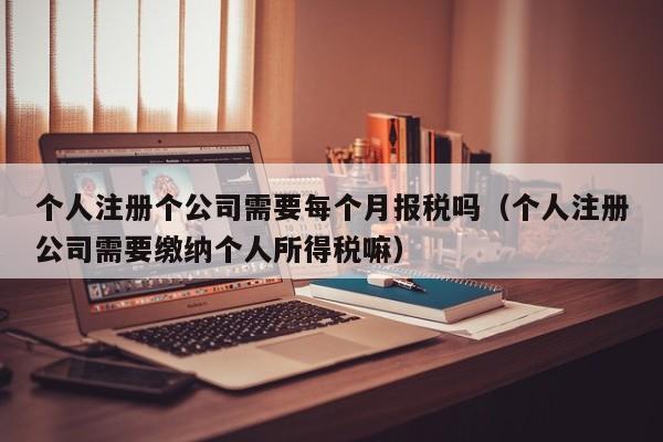 个人注册个公司需要每个月报税吗（个人注册公司需要缴纳个人所得税嘛）
