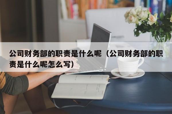 公司财务部的职责是什么呢（公司财务部的职责是什么呢怎么写）