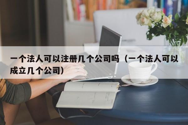 一个法人可以注册几个公司吗（一个法人可以成立几个公司）