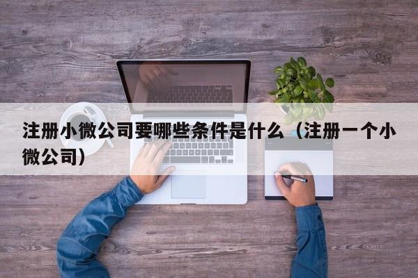 注册小微公司要哪些条件是什么（注册一个小微公司）