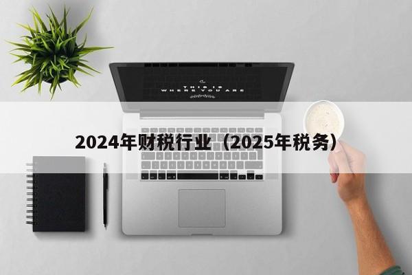2024年财税行业（2025年税务）