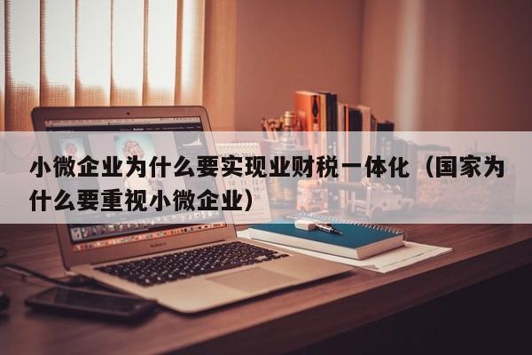 小微企业为什么要实现业财税一体化（国家为什么要重视小微企业）