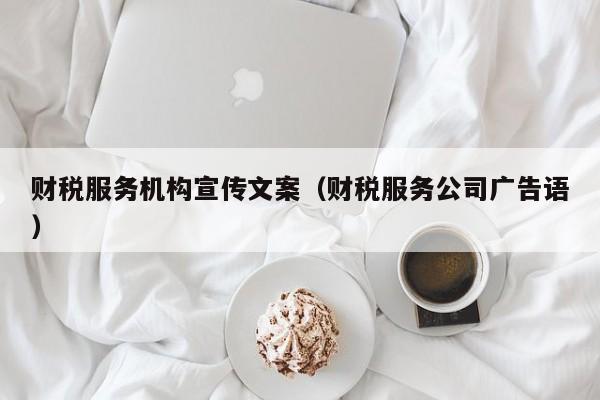 财税服务机构宣传文案（财税服务公司广告语）