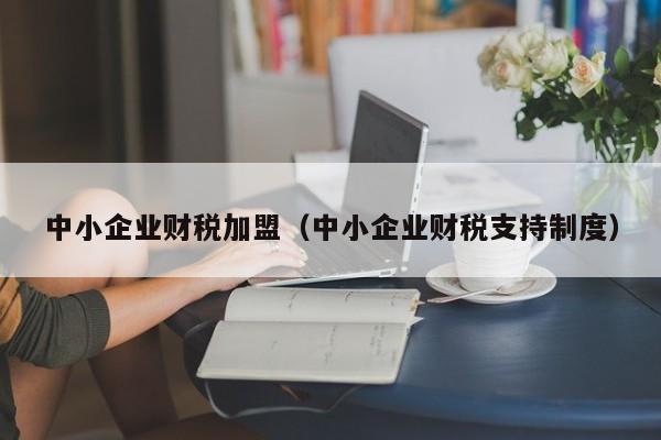 中小企业财税加盟（中小企业财税支持制度）