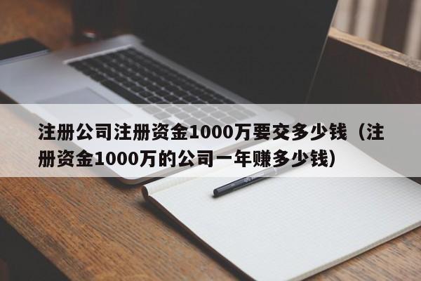 注册公司注册资金1000万要交多少钱（注册资金1000万的公司一年赚多少钱）