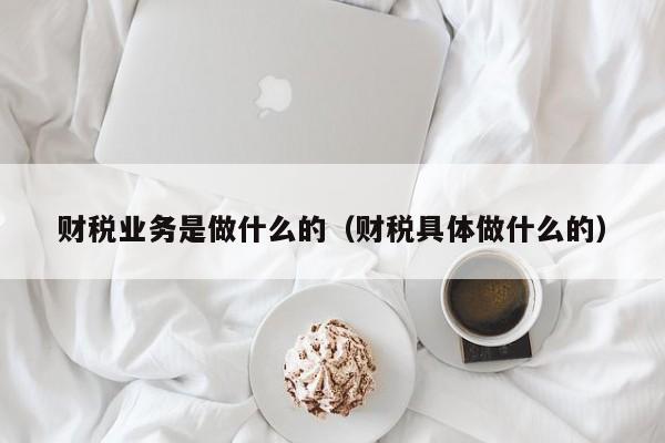 财税业务是做什么的（财税具体做什么的）