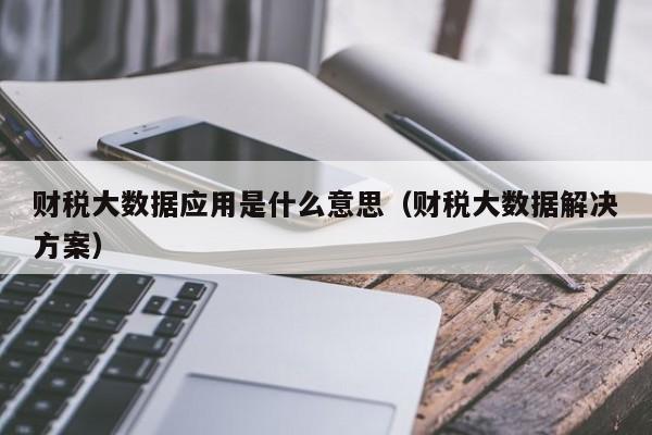 财税大数据应用是什么意思（财税大数据解决方案）