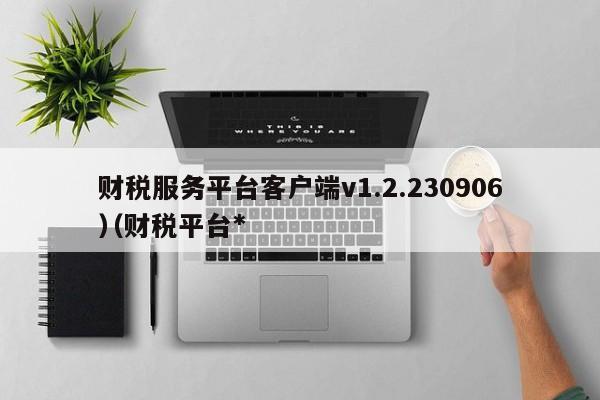 财税服务平台客户端v1.2.230906（财税平台*）
