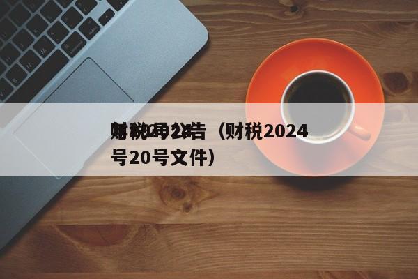 财税2024年19号公告（财税2024号20号文件）